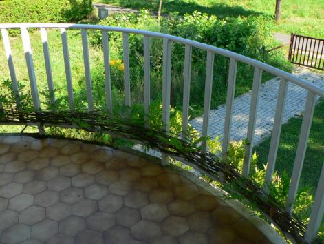 balatonbereny_17.jpg